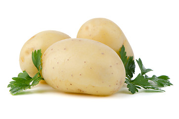 Image showing New potatoes and green parsley