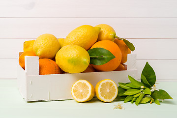 Image showing Citrus fresh fruits