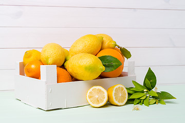 Image showing Citrus fresh fruits