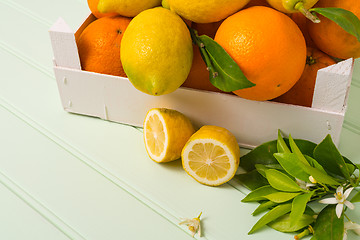 Image showing Citrus fresh fruits