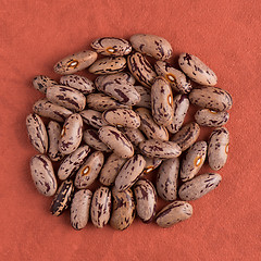 Image showing Circle of pinto beans