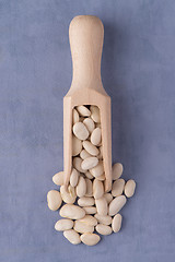 Image showing Wooden scoop with white beans