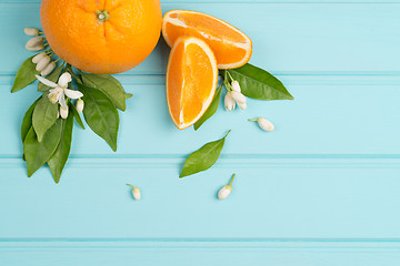 Image showing Citrus fresh fruits