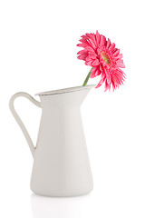 Image showing Pink gerbera daisy flower