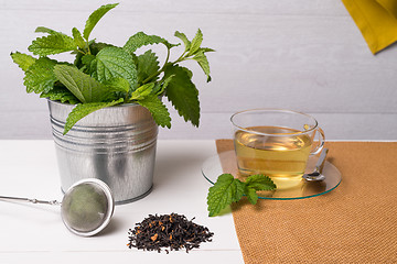 Image showing Herbal tea with melissa in a glass cup