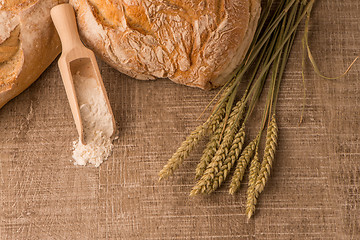 Image showing Rustic bread and wheat