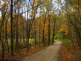 Image showing Autumn Trail
