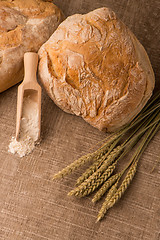 Image showing Rustic bread and wheat