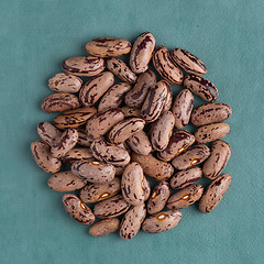 Image showing Circle of pinto beans