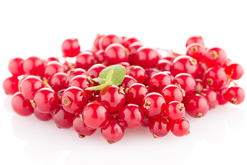 Image showing Red Currant