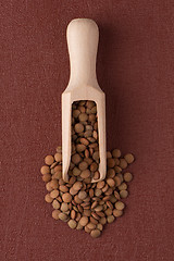 Image showing Wooden scoop with lentils