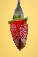 Image showing Strawberry and chocolate on a fork