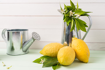Image showing Limes and vintage metal retro watering cans
