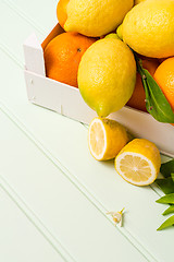 Image showing Citrus fresh fruits