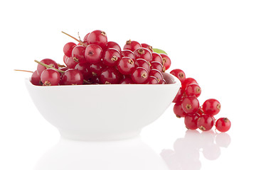 Image showing Red Currants