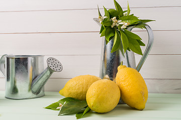 Image showing Limes and vintage metal retro watering cans