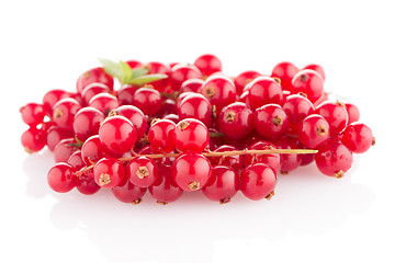 Image showing Red Currants