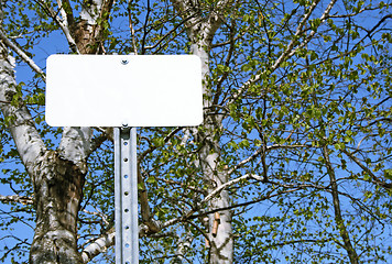 Image showing Blank sign in spring forest