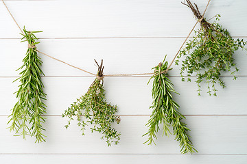 Image showing Single twigs of Thyme and Rosemary