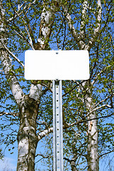Image showing Sign with copy space in spring forest