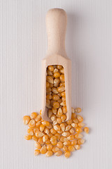 Image showing Wooden scoop with corn