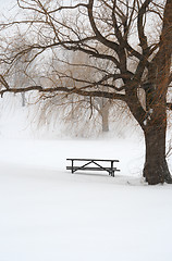 Image showing Picnic table in snow under a tree