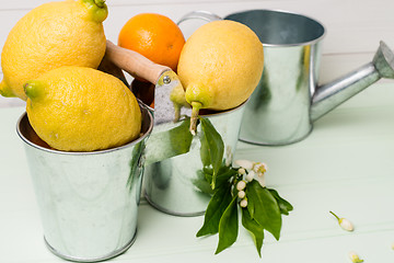 Image showing Limes on wooden table