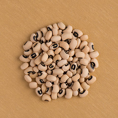 Image showing Circle of white beans