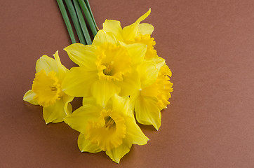 Image showing Jonquil flowers
