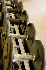 Image showing Row of freeweights

