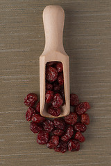 Image showing Wooden scoop with dried cranberries