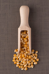 Image showing Wooden scoop with corn