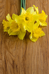 Image showing Jonquil flowers