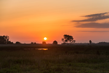 Image showing Sunset over the meadow