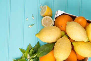 Image showing Citrus fresh fruits