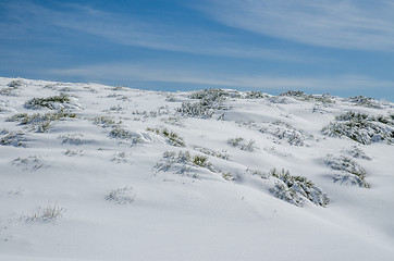 Image showing Landscape of Serra da Estrela