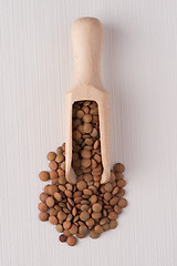 Image showing Wooden scoop with lentils