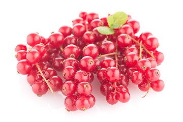 Image showing Red Currants