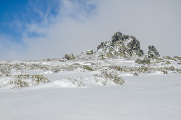 Image showing Landscape of Serra da Estrela