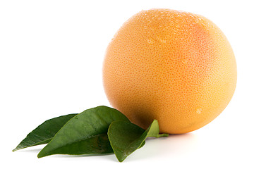 Image showing Ripe red grapefruit