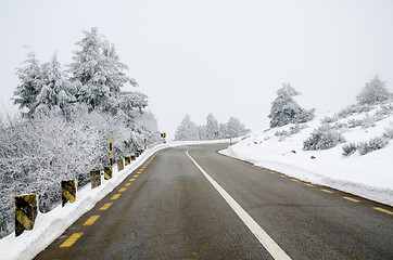 Image showing Snowy Road