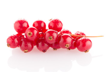 Image showing Red Currants