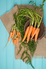 Image showing Carrots on a wooden table