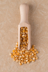 Image showing Wooden scoop with corn