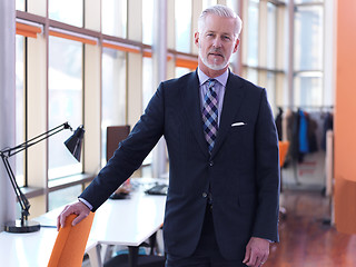 Image showing senior business man portrait