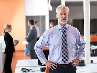 Image showing senior business man with his team at office