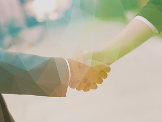 Image showing businesswoman and businessman handshake