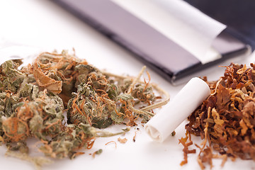 Image showing Dried Cannabis on Rolling Paper with Filter