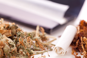 Image showing Dried Cannabis on Rolling Paper with Filter