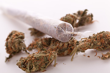 Image showing Close up of dried marijuana leaves and joint